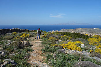 Le sentier menant à Agios Nikolas