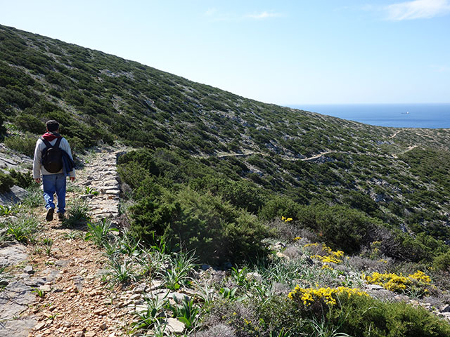 Le sentier d'Agios Nikolaos de Heronissos