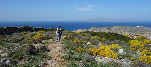 Le sentier menant à Agios Nikolaos de Cheronissos